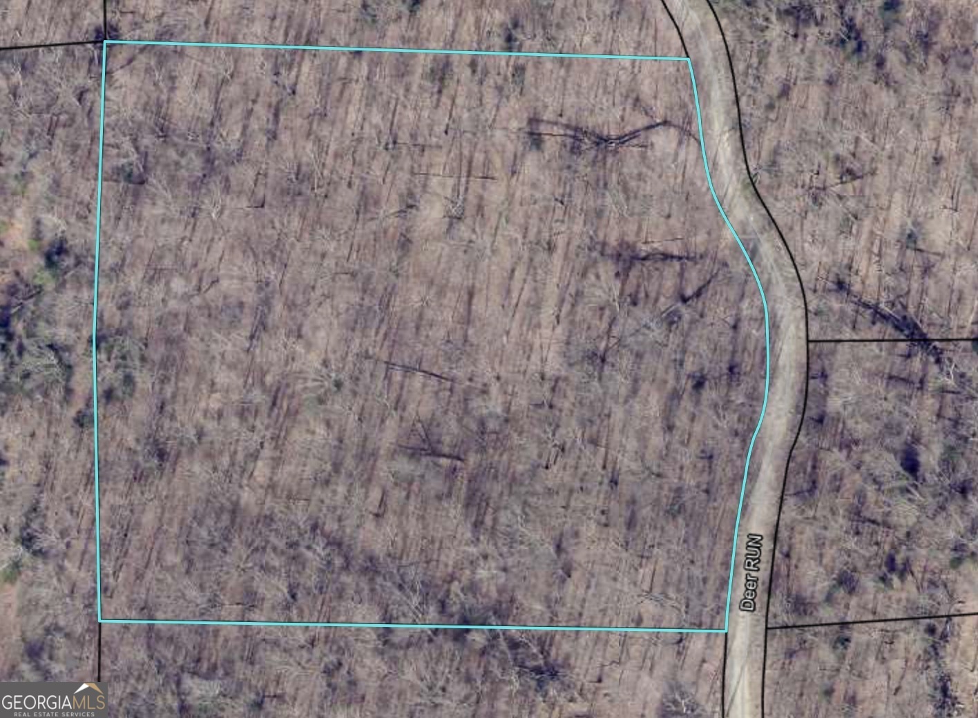 0 Deer Run Morganton, GA 30560 - Photo 6 of 7