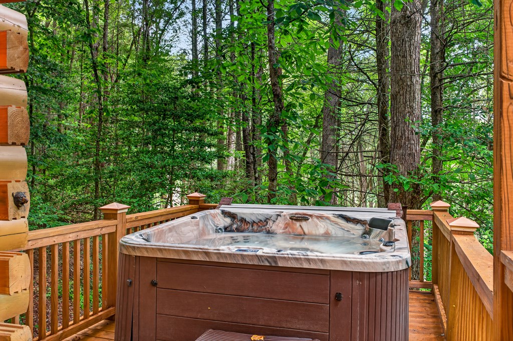 357 Hemlock Trail Blue Ridge, GA 30513 - Photo 4 of 24