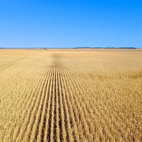 $995,000 | 6754 590th Avenue, Wells, MN 56097