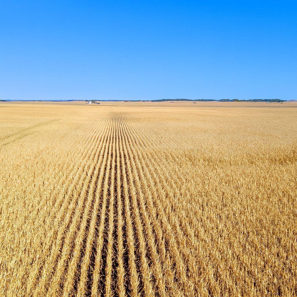 6754 590th Avenue Wells, MN 56097 - Photo 2 of 5