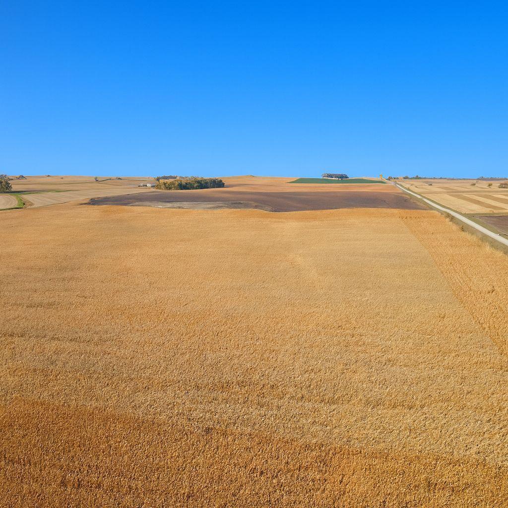 6754 590th Avenue Wells, MN 56097 - Photo 3 of 5