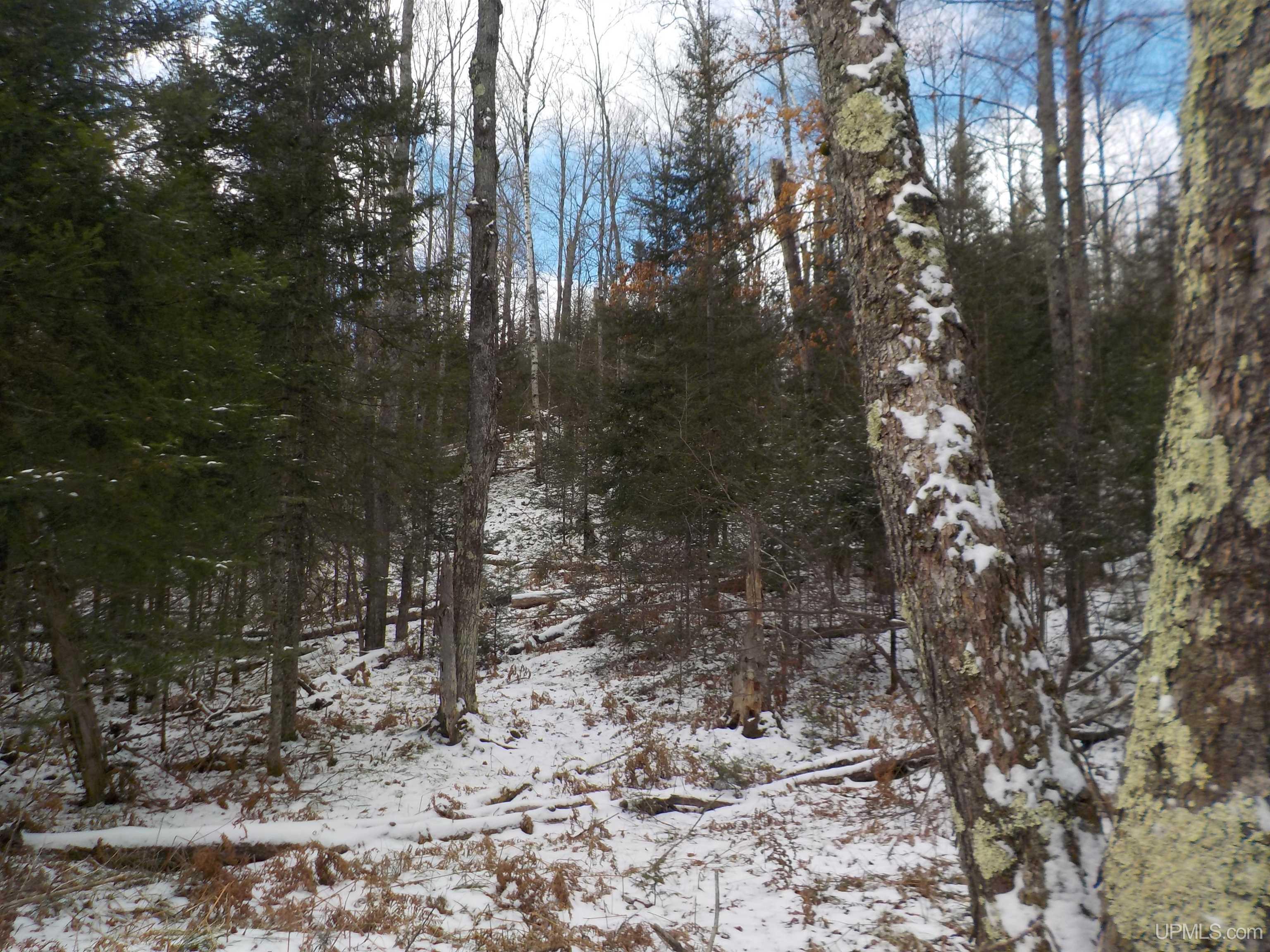 1.52-ac Bates-Amasa Road Crystal Falls, MI 49920 - Photo 7 of 28 Gallery Image 7