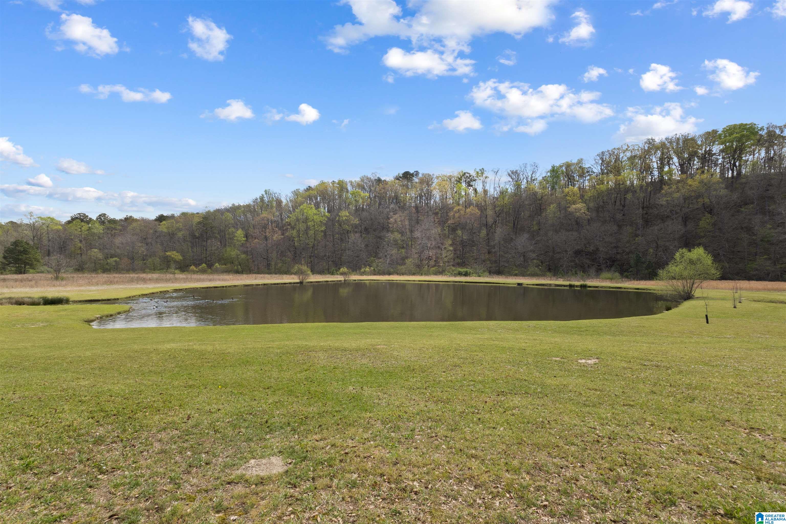 1502 Possum Trot Road Piedmont, AL 36272 - Photo 32 of 42
