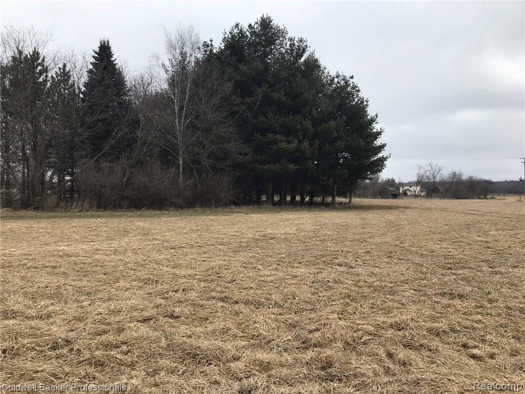 0 Hayden Road Attica, MI 48412 - Photo 2 of 7