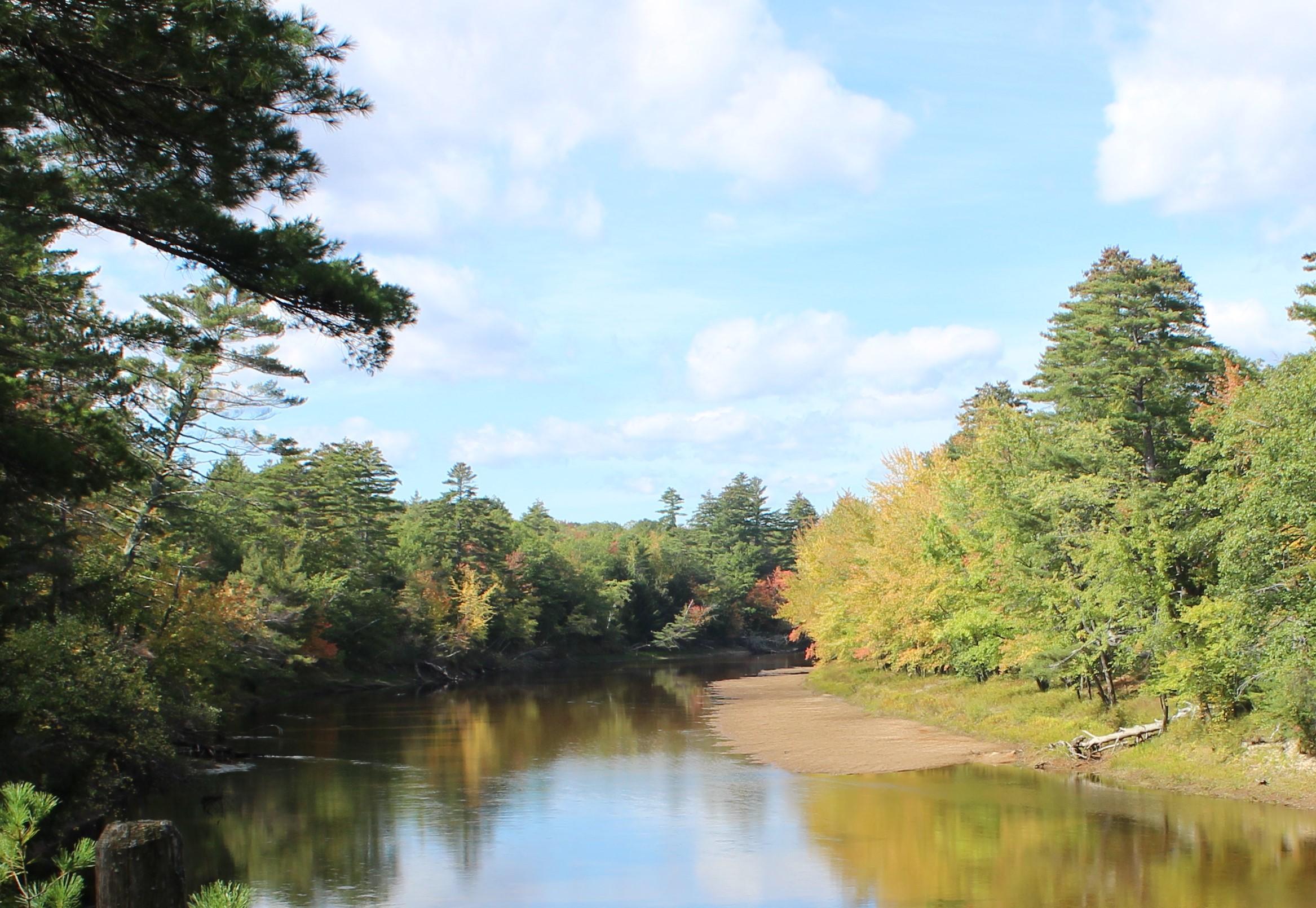 Lot 9 Riverbend Road Brownfield, ME 04010 - Photo 1 of 2 IMG_4060