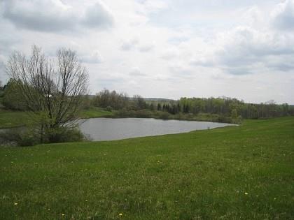 Relax by your very own pond
