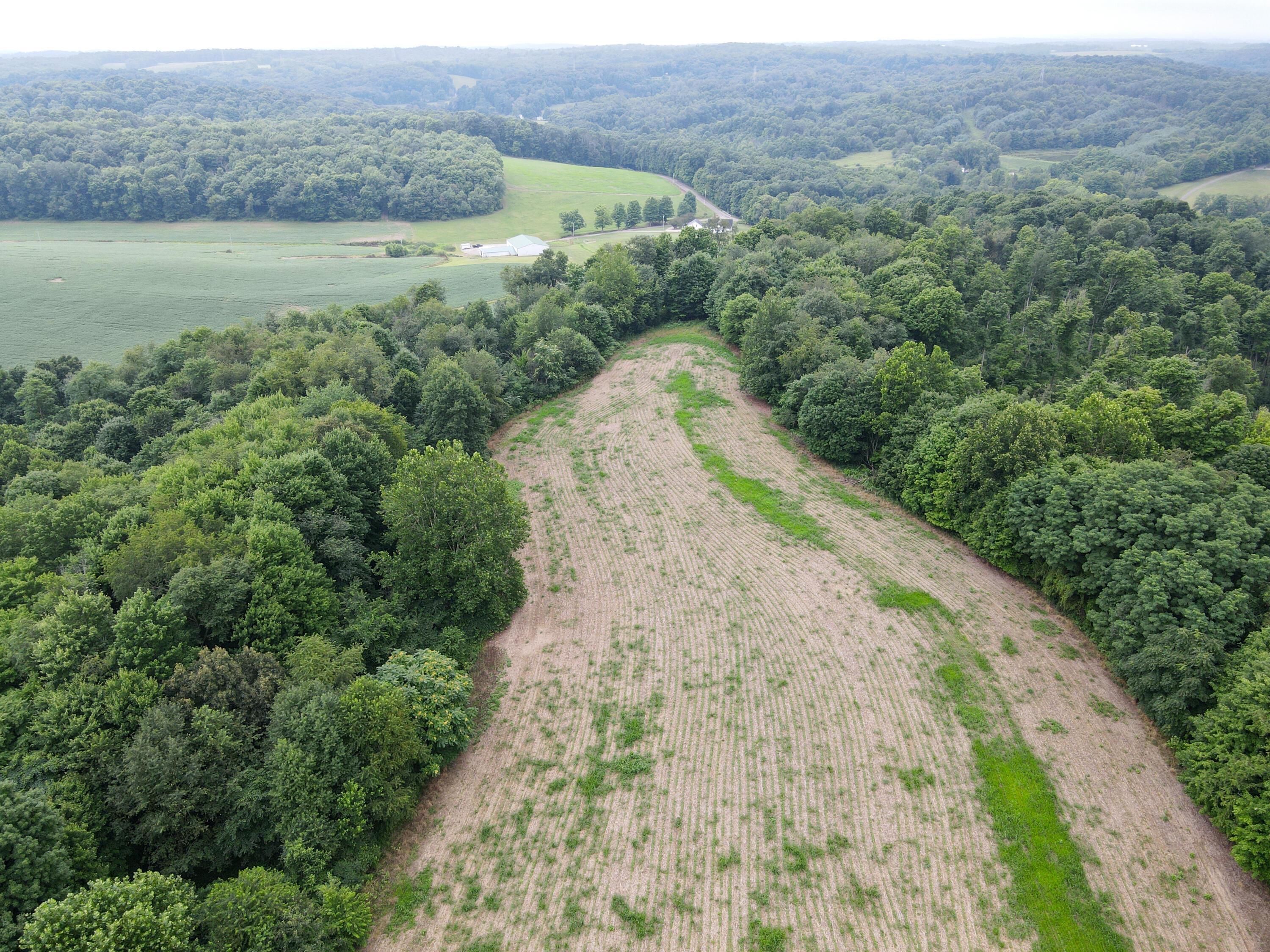 0 North Butler Liberty Road Butler, OH 44822 - Photo 33 of 47 DJI_0501