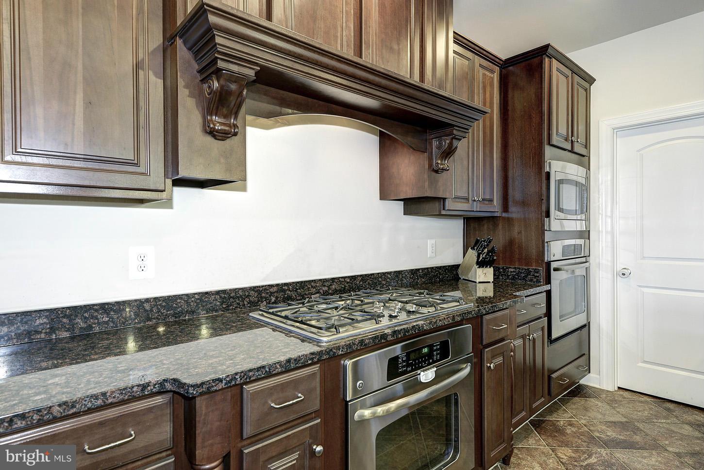 44401 Stone Roses Circle Ashburn, VA 20147 - Photo 4 of 30 Kitchen