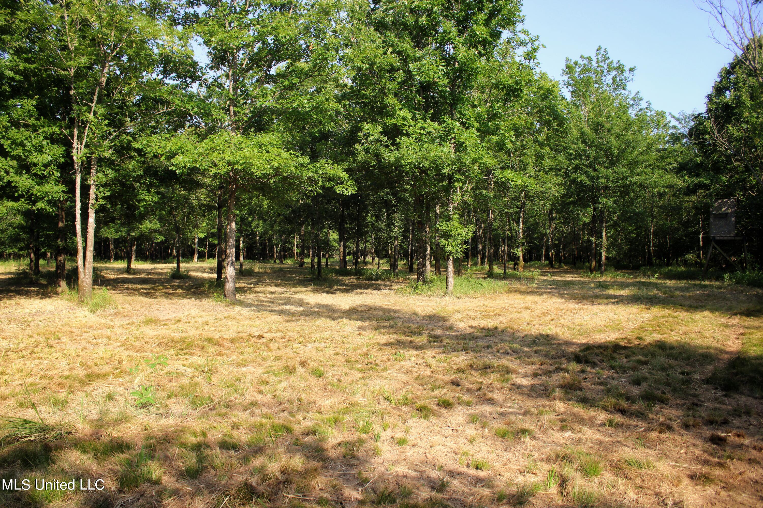 Eason Road Lambert, MS 38643 - Photo 13 of 66 Photo Jul 15 2024, 8 29 29 PM