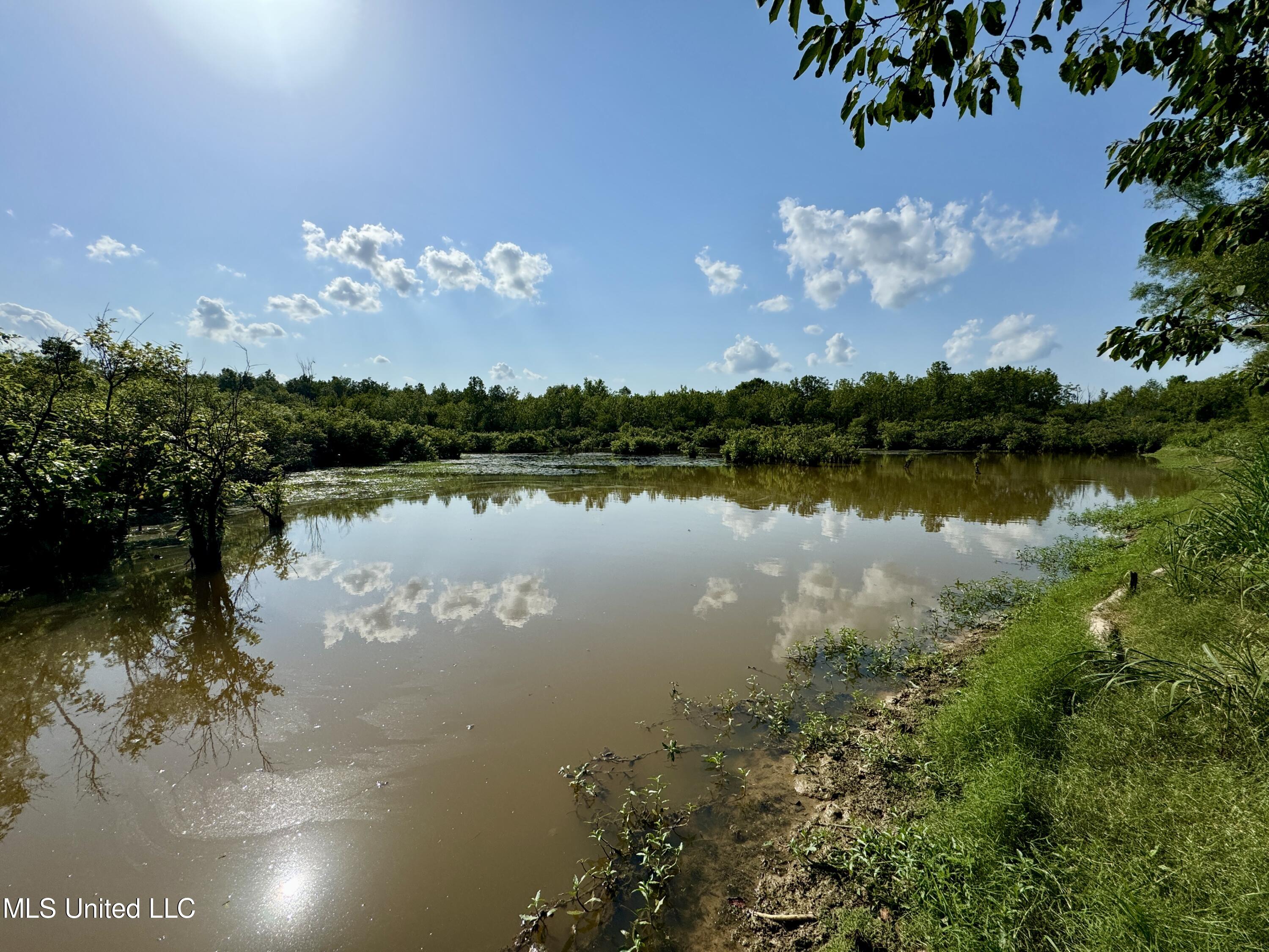 Eason Road Lambert, MS 38643 - Photo 45 of 66 IMG_4851~photo-full