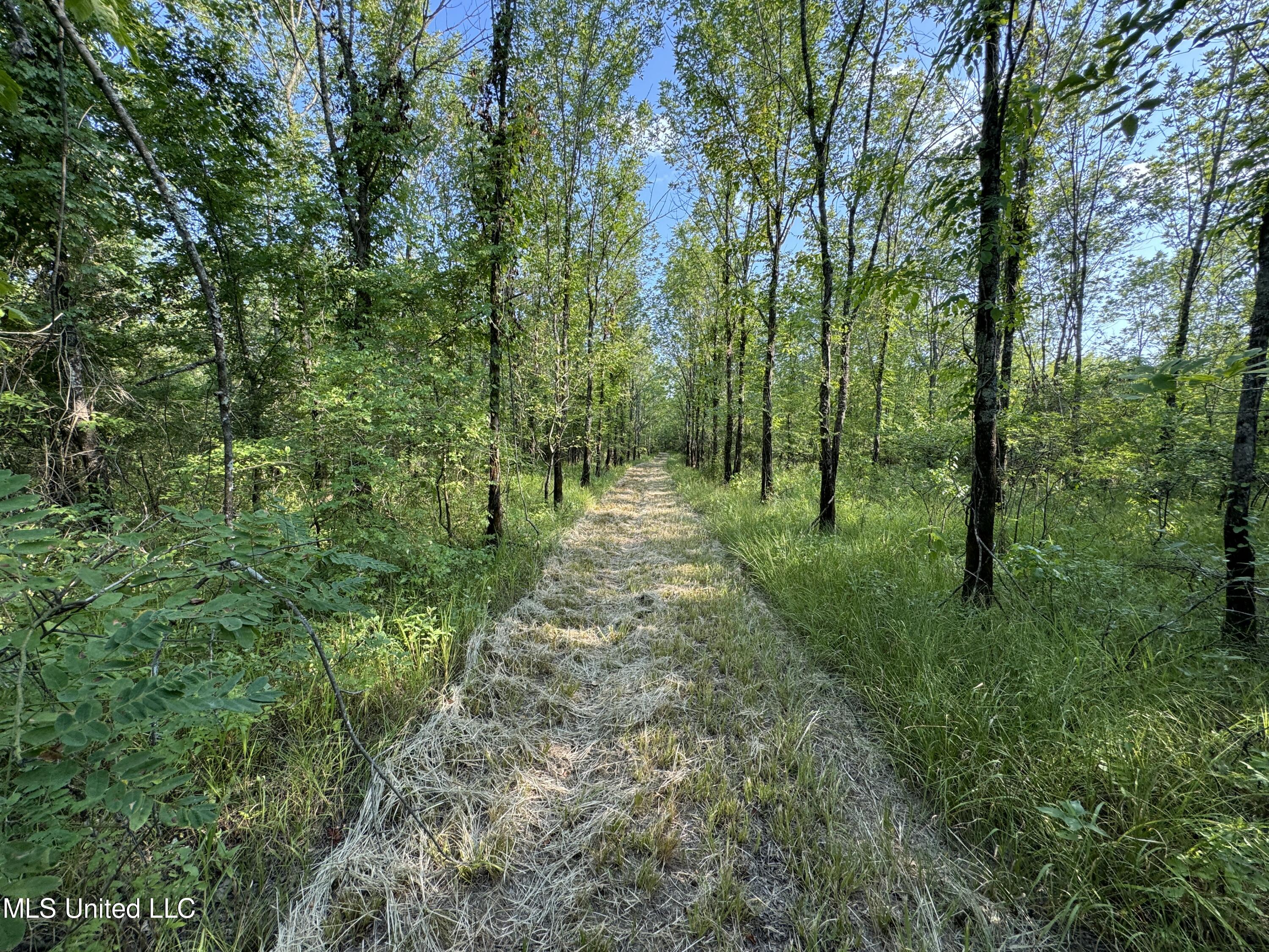 Eason Road Lambert, MS 38643 - Photo 54 of 66 IMG_4860~photo