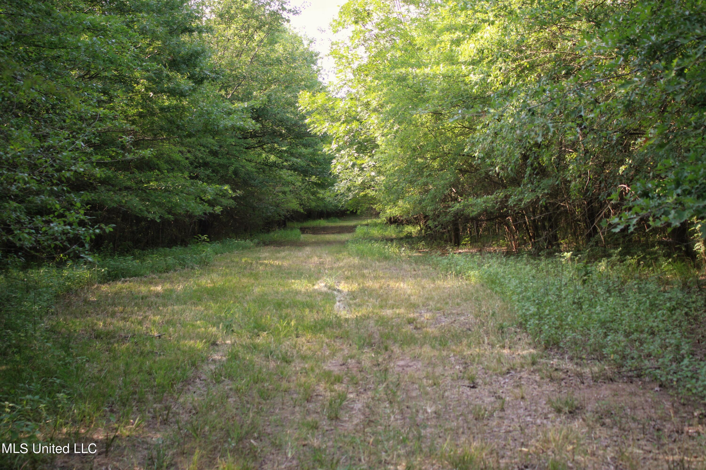 Eason Road Lambert, MS 38643 - Photo 8 of 66 Photo Jul 15 2024, 8 23 57 PM