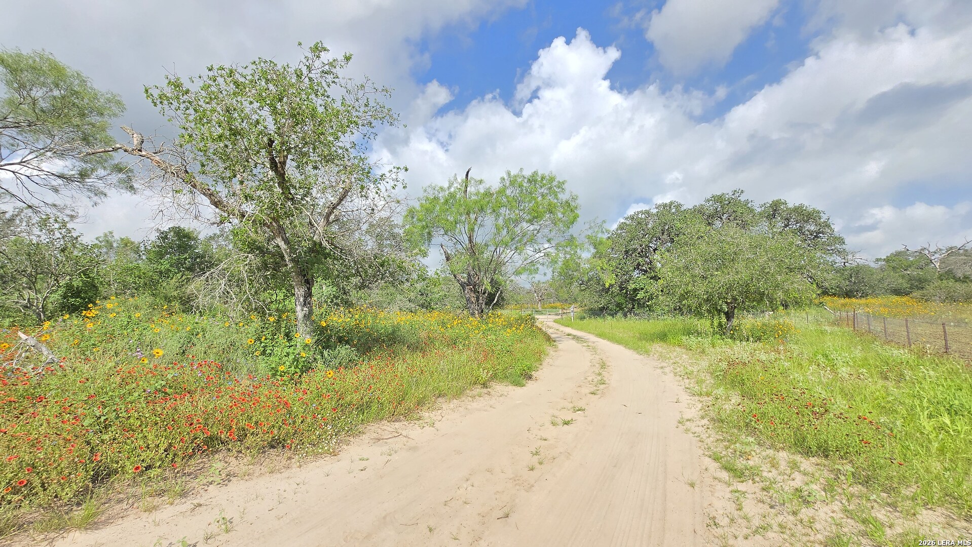 289 Zigmond Road Poteet, TX 78065 - Photo 10 of 37