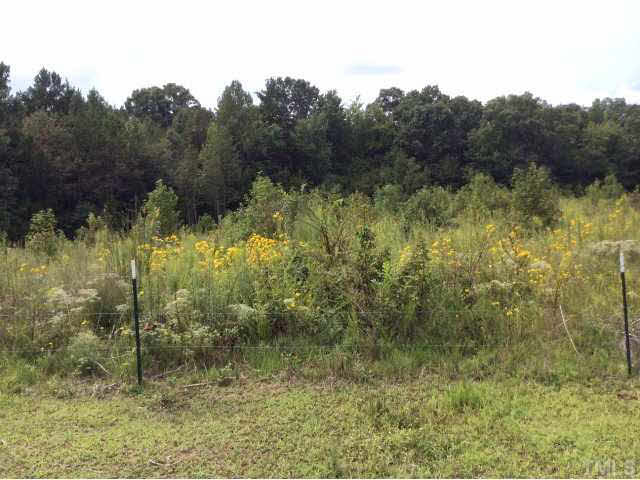 Charlie Winston Road Bullock, NC 27507 - Photo 16 of 18 Photo 16