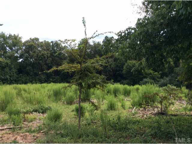 Charlie Winston Road Bullock, NC 27507 - Photo 17 of 18 Photo 17