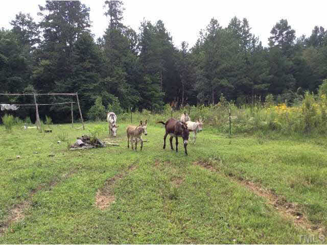 Charlie Winston Road Bullock, NC 27507 - Photo 3 of 18 Photo 3