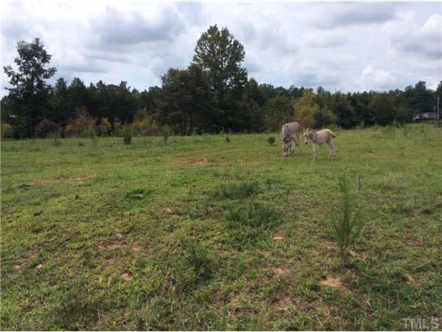 Charlie Winston Road Bullock, NC 27507 - Photo 4 of 18 Photo 4