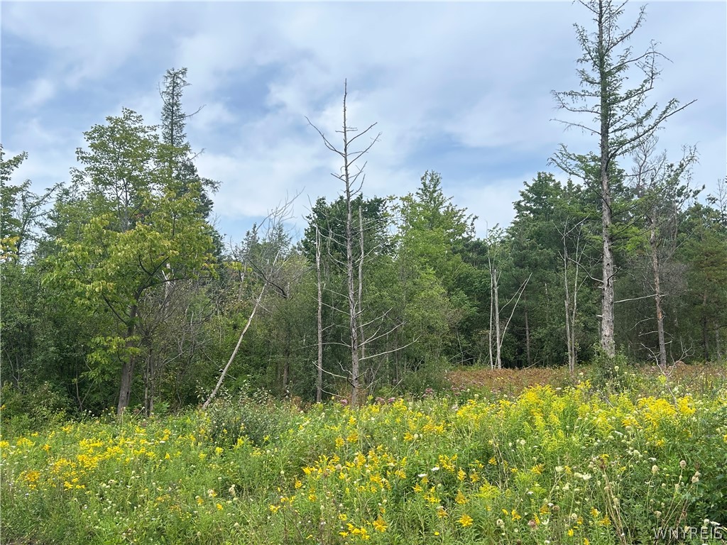 0 Tinkham Road Attica, NY 14011 - Photo 6 of 19 Gallery Image 6