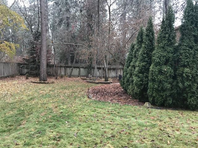 14620 North Lowe Road Mead, WA 99021 - Photo 20 of 20
