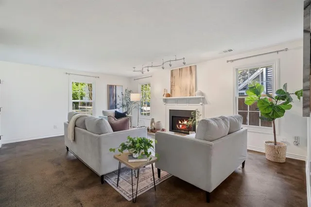 a living room with furniture potted plant and a fireplace