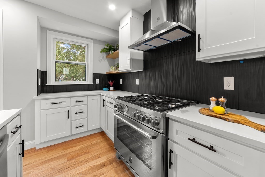 131 Rawson Road, Unit 1 Arlington, MA 02474 - Photo 10 of 36 Gallery Image 10