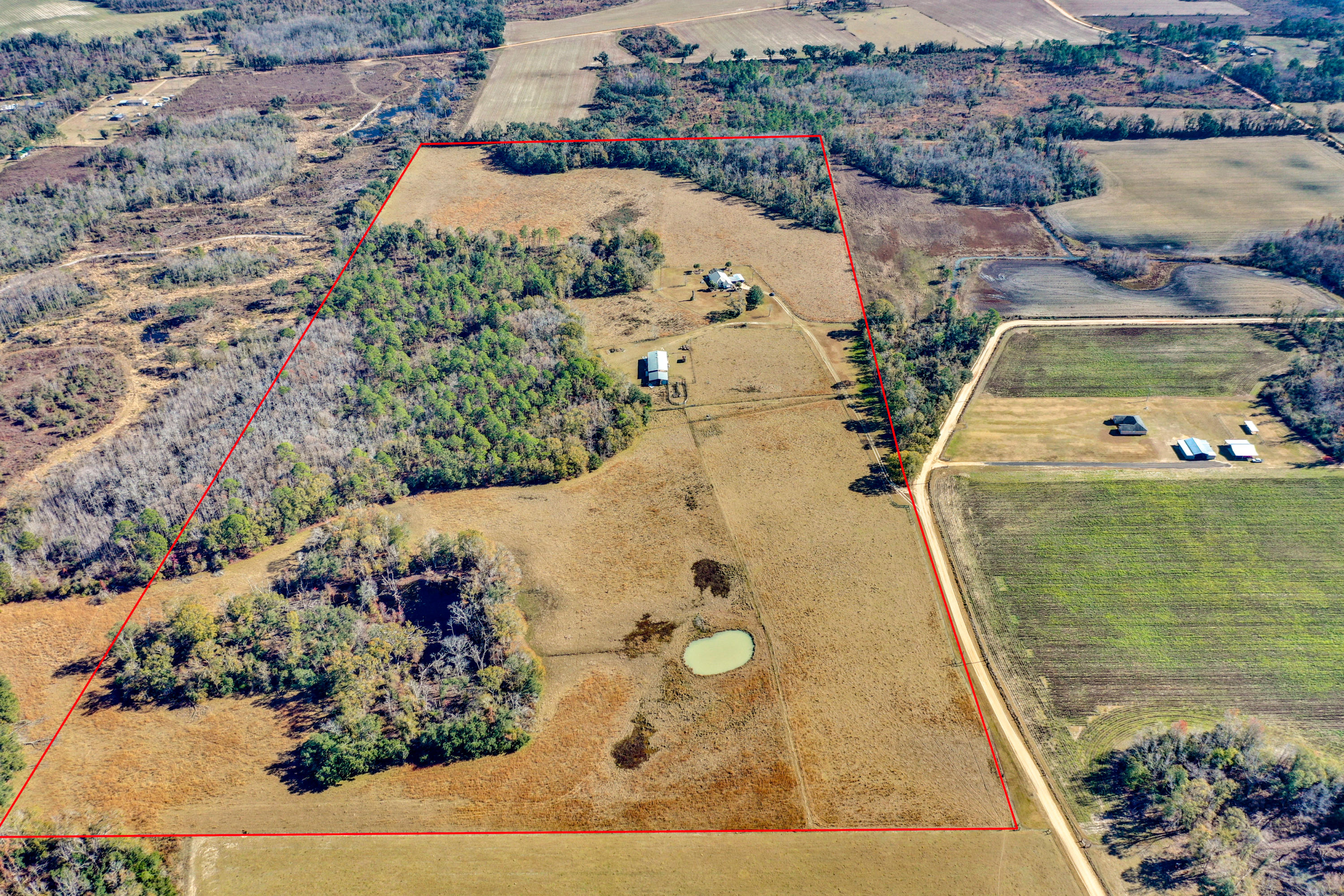 1940 Eldridge Road Cottondale, FL 32431 - Photo 5 of 42 a view of a swimming pool with a yard