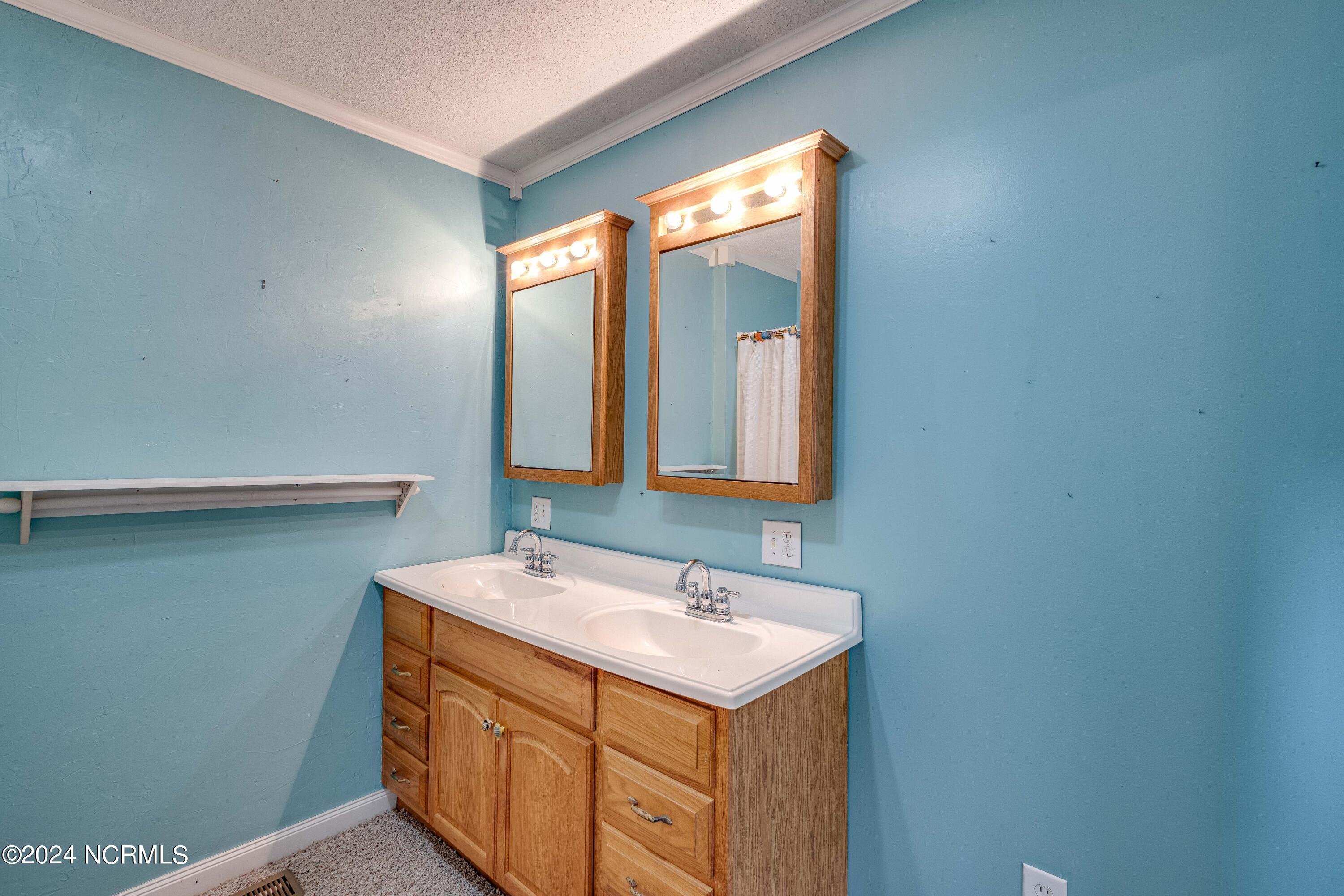435 Sam Allen Road Roper, NC 27970 - Photo 26 of 53 Primary Bath