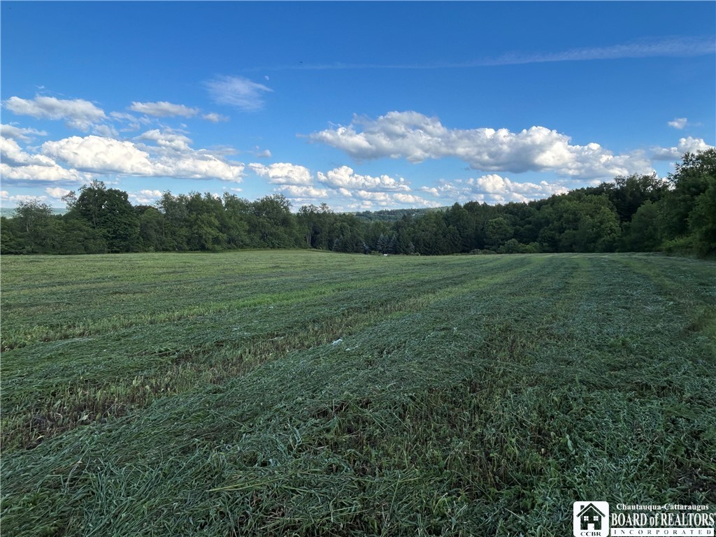 2492 Busti-Stillwater Road Jamestown, NY 14701 - Photo 12 of 33
