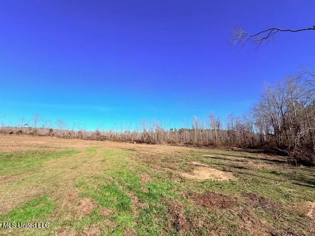 $130,000 | 40 Clarence Bullock Road, Tylertown, MS 39667