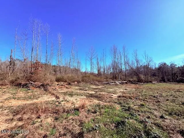 $130,000 | 40 Clarence Bullock Road, Tylertown, MS 39667