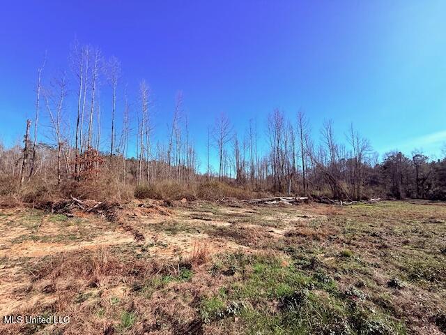 40 Clarence Bullock Road Tylertown, MS 39667 - Photo 11 of 15 IMG_2020