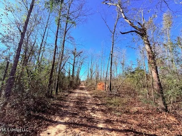 $130,000 | 40 Clarence Bullock Road, Tylertown, MS 39667