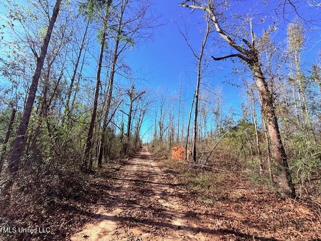 40 Clarence Bullock Road Tylertown, MS 39667 - Photo 12 of 15 IMG_2021