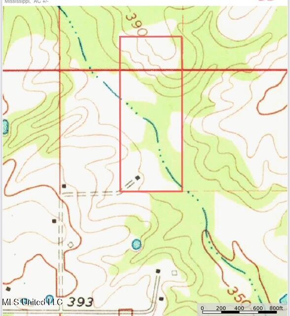 40 Clarence Bullock Road Tylertown, MS 39667 - Photo 14 of 15 IMG_1981