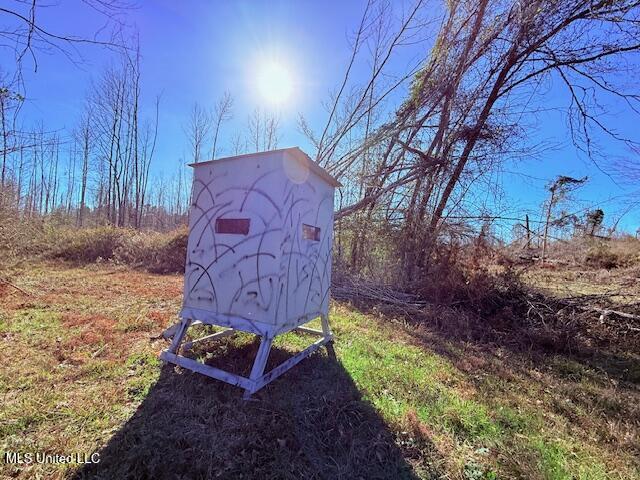 40 Clarence Bullock Road Tylertown, MS 39667 - Photo 2 of 15 IMG_2011