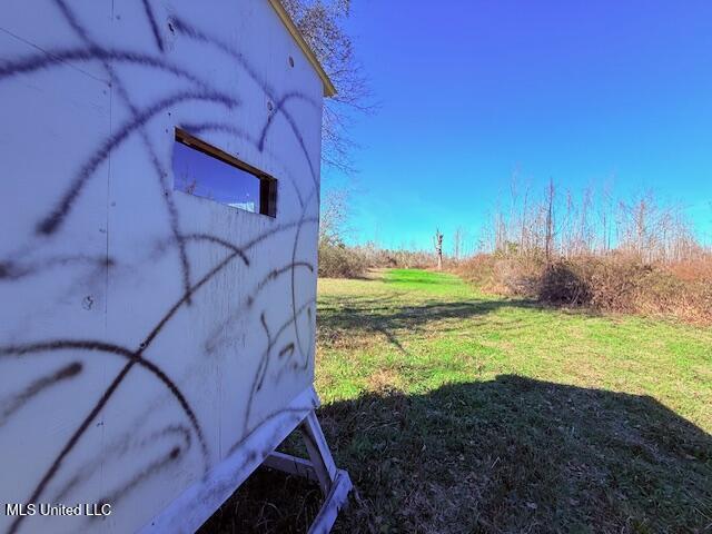 40 Clarence Bullock Road Tylertown, MS 39667 - Photo 3 of 15 IMG_2012