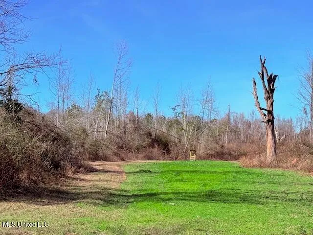 $130,000 | 40 Clarence Bullock Road, Tylertown, MS 39667