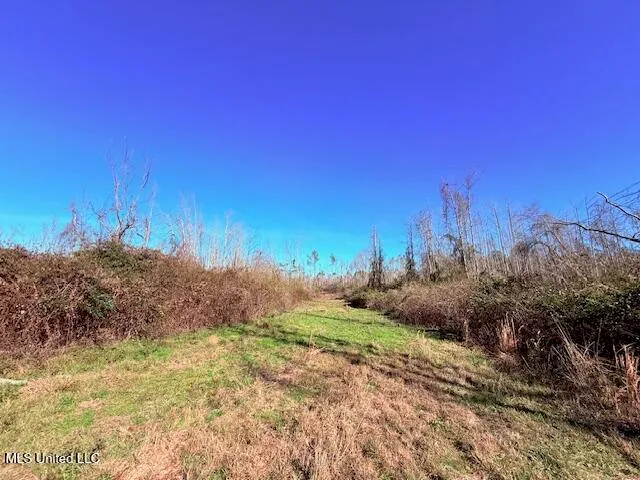 $130,000 | 40 Clarence Bullock Road, Tylertown, MS 39667