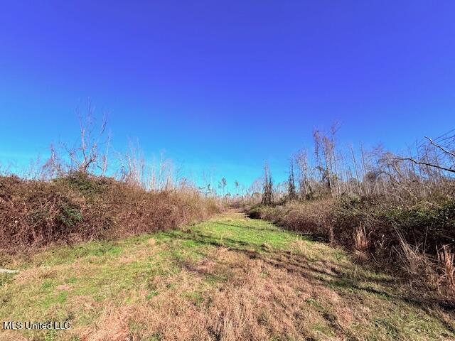 40 Clarence Bullock Road Tylertown, MS 39667 - Photo 5 of 15 IMG_2014