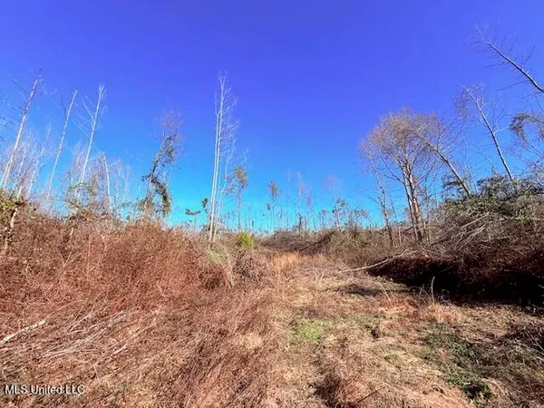 $130,000 | 40 Clarence Bullock Road, Tylertown, MS 39667