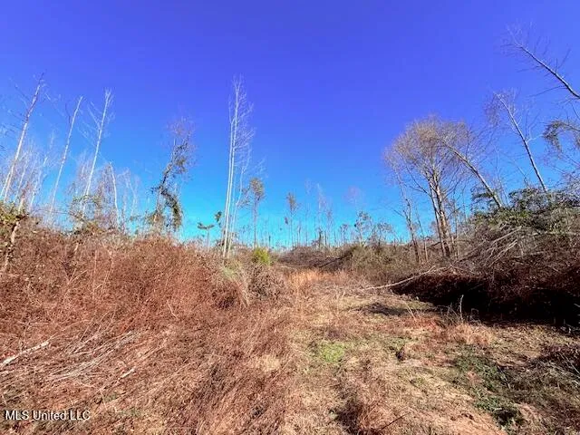 $130,000 | 40 Clarence Bullock Road, Tylertown, MS 39667