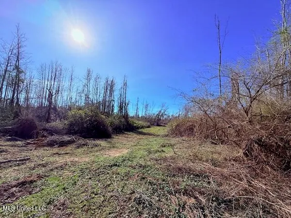 $130,000 | 40 Clarence Bullock Road, Tylertown, MS 39667