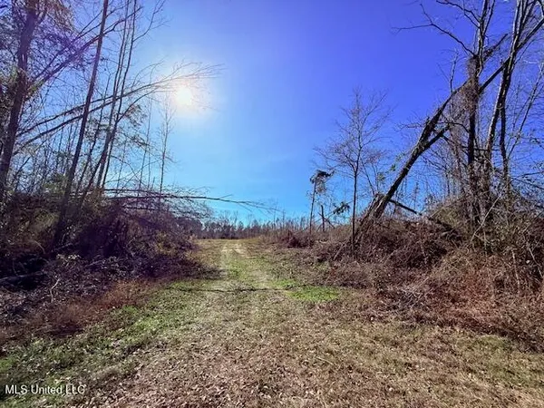 $130,000 | 40 Clarence Bullock Road, Tylertown, MS 39667
