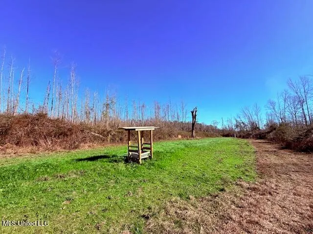 $130,000 | 40 Clarence Bullock Road, Tylertown, MS 39667