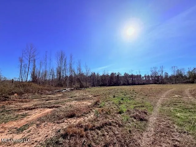 $130,000 | 40 Clarence Bullock Road, Tylertown, MS 39667