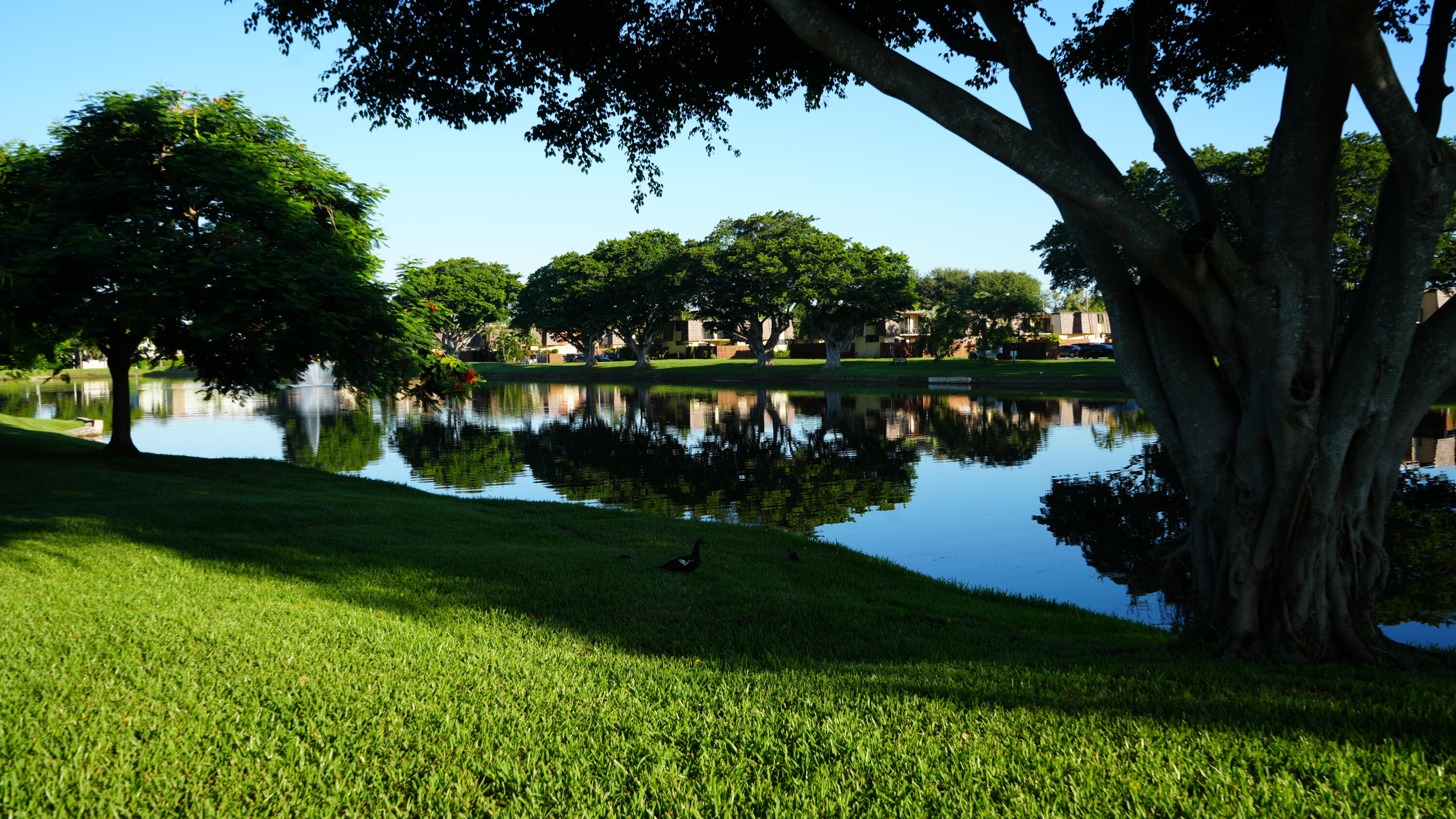 622 Springdale Circle Palm Springs, FL 33461 - Photo 2 of 13 a view of lake with a yard