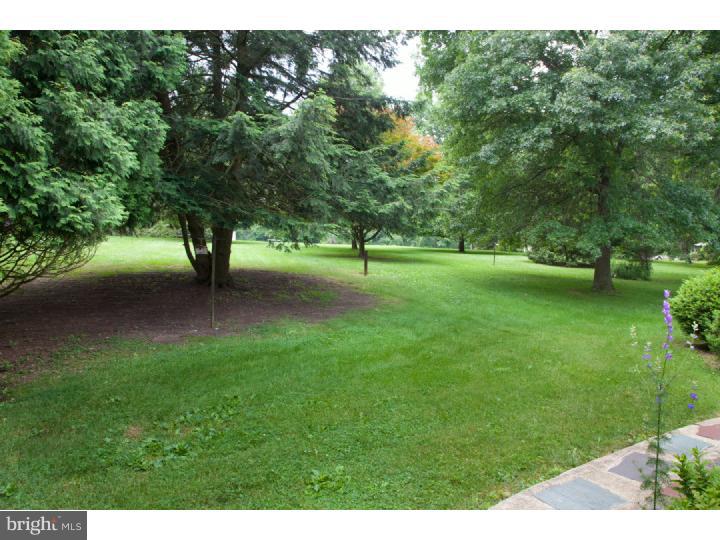 798 Pughtown Road Spring City, PA 19475 - Photo 15 of 18 Back Yard