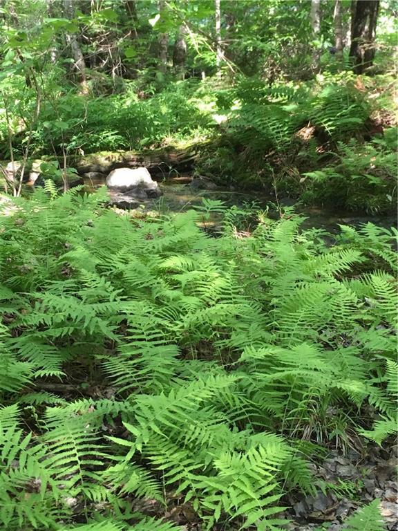 Lot 48 Woodsman Mill Road Lowell, ME 04417 - Photo 6 of 6 Photo
