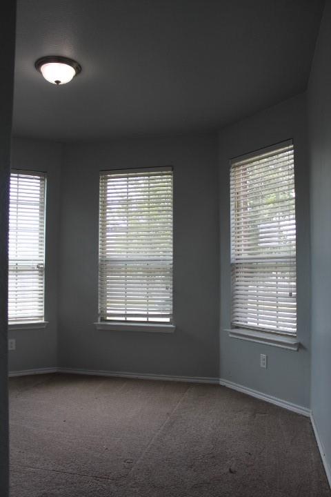 11520 Starlight Ranch Fort Worth, TX 76052 - Photo 12 of 20 Gallery Image 12