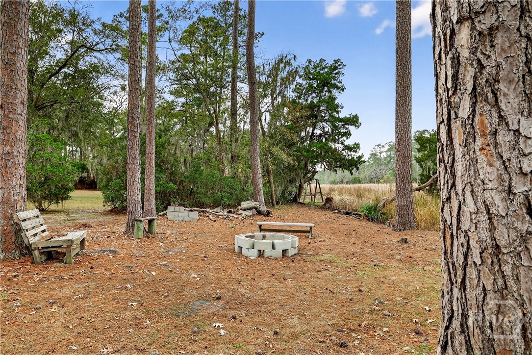 314 Mill Run Road Richmond Hill, GA 31324 - Photo 59 of 72 Fire Pit